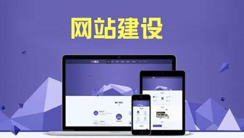 凌岳网络科技 南京网站建设与APP开发的双重领航者